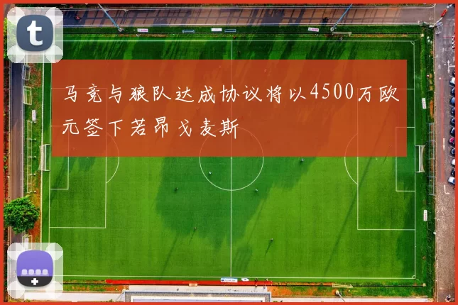 马竞与狼队达成协议将以4500万欧元签下若昂戈麦斯